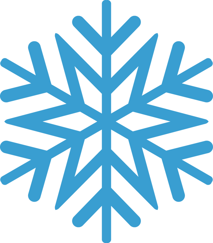 Snowflake Monogram SVG 18